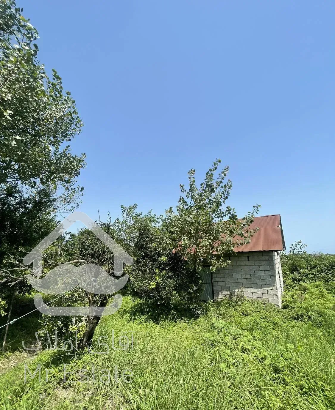 زمین مسکونی چایخانسر