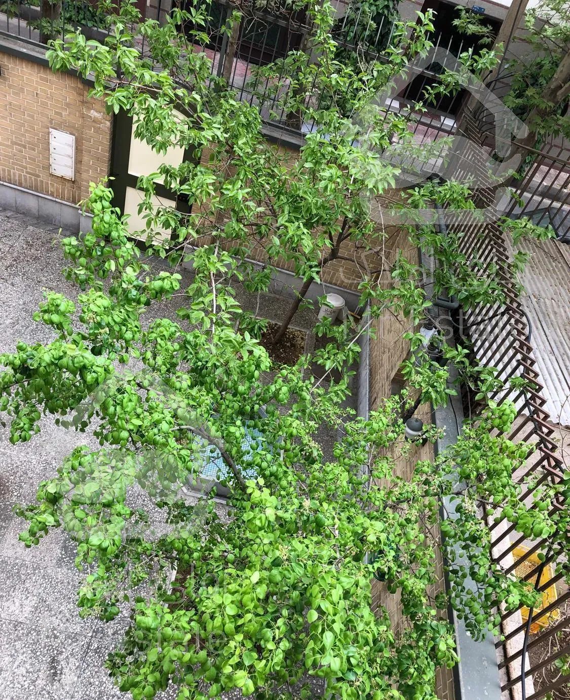 اپارتمان قیطریه ۱۳۰ متر