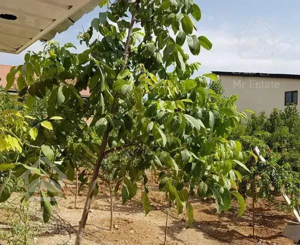 ۱۳۵۰ متر ویلا مبله اماده استفاده آبسرد