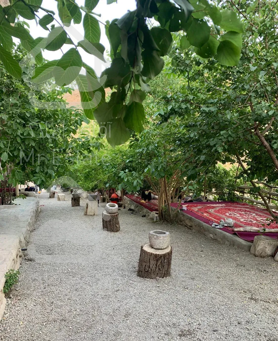 فراغت تابستانی در منطقه سبز چشمه بوز/خضرآباد