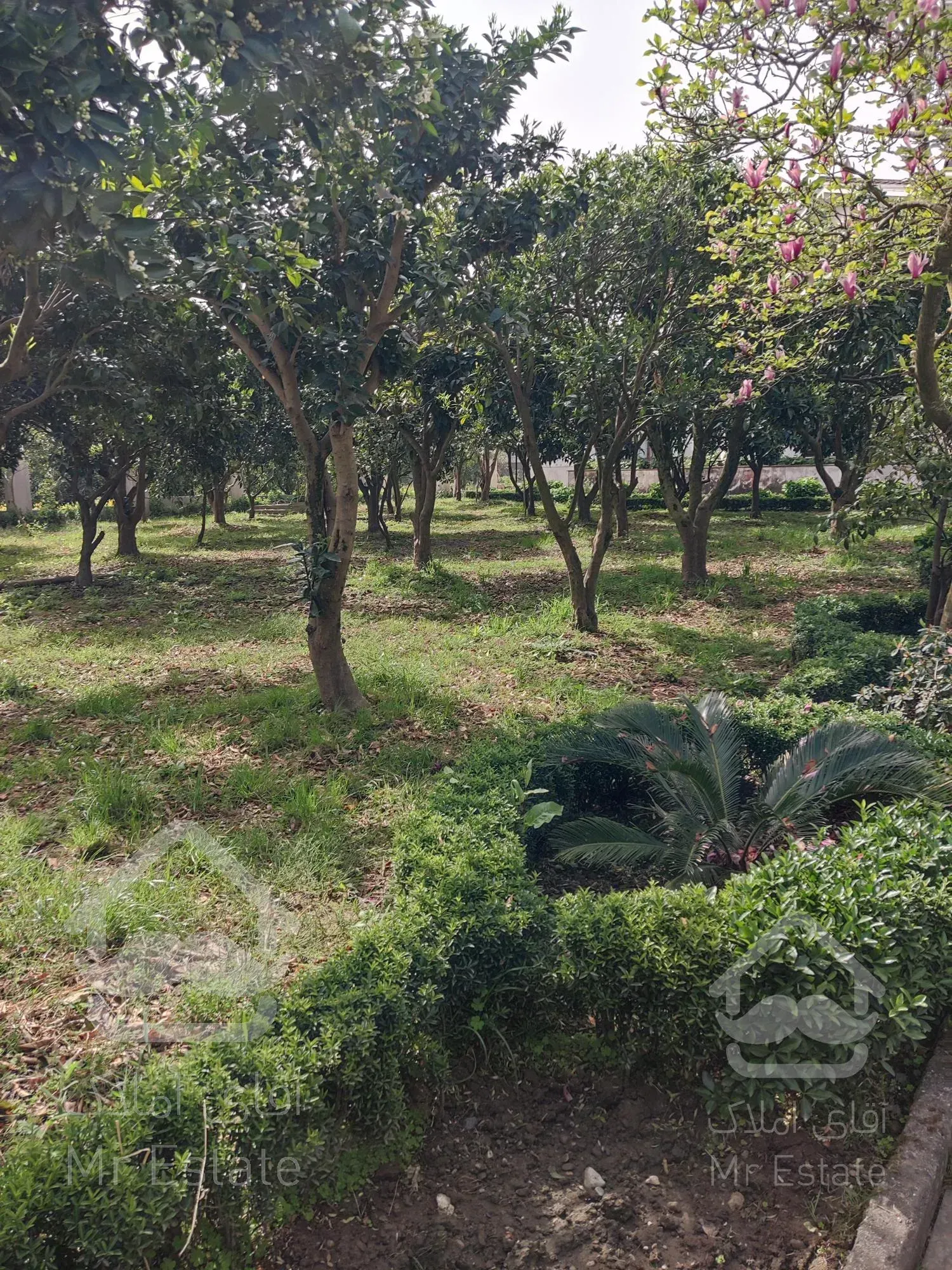 فروش زمین در متل قو