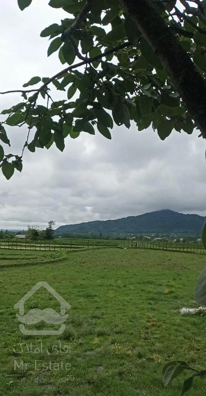 اجاره ویلا آلاچیق دار دربست ماسال روستای مرکیه