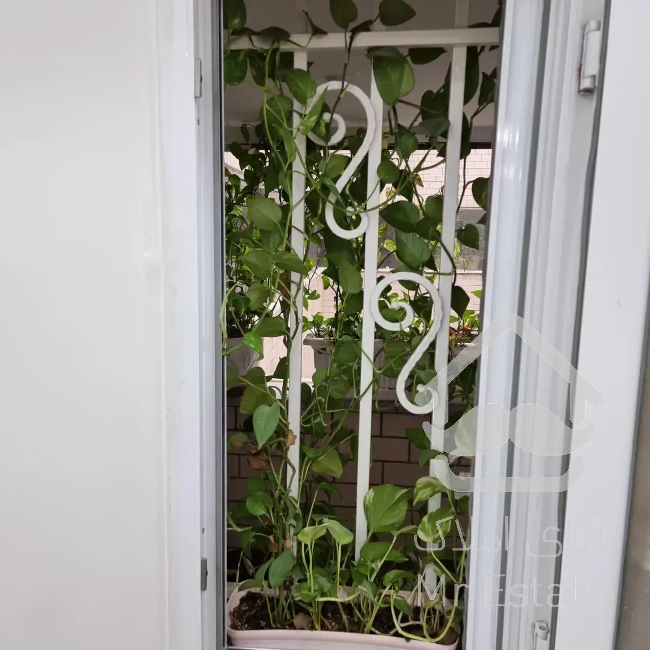 120 متر سند اداری بالاتر از تندیس در میدان تجریش