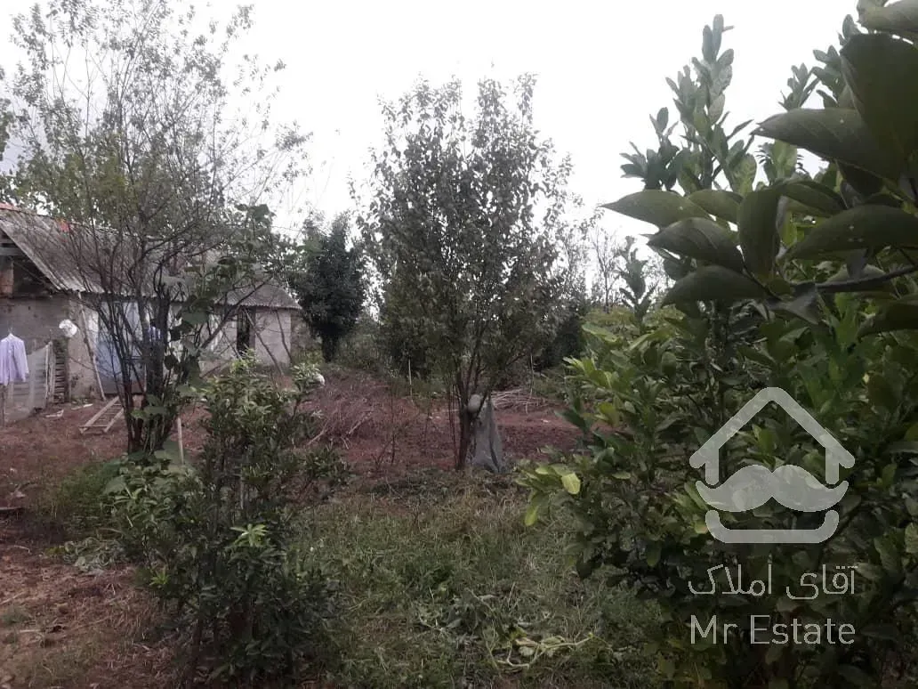 ۸۶۵ متر زمین سنددار در گیلان - روستای مردخه شهرستان شفت