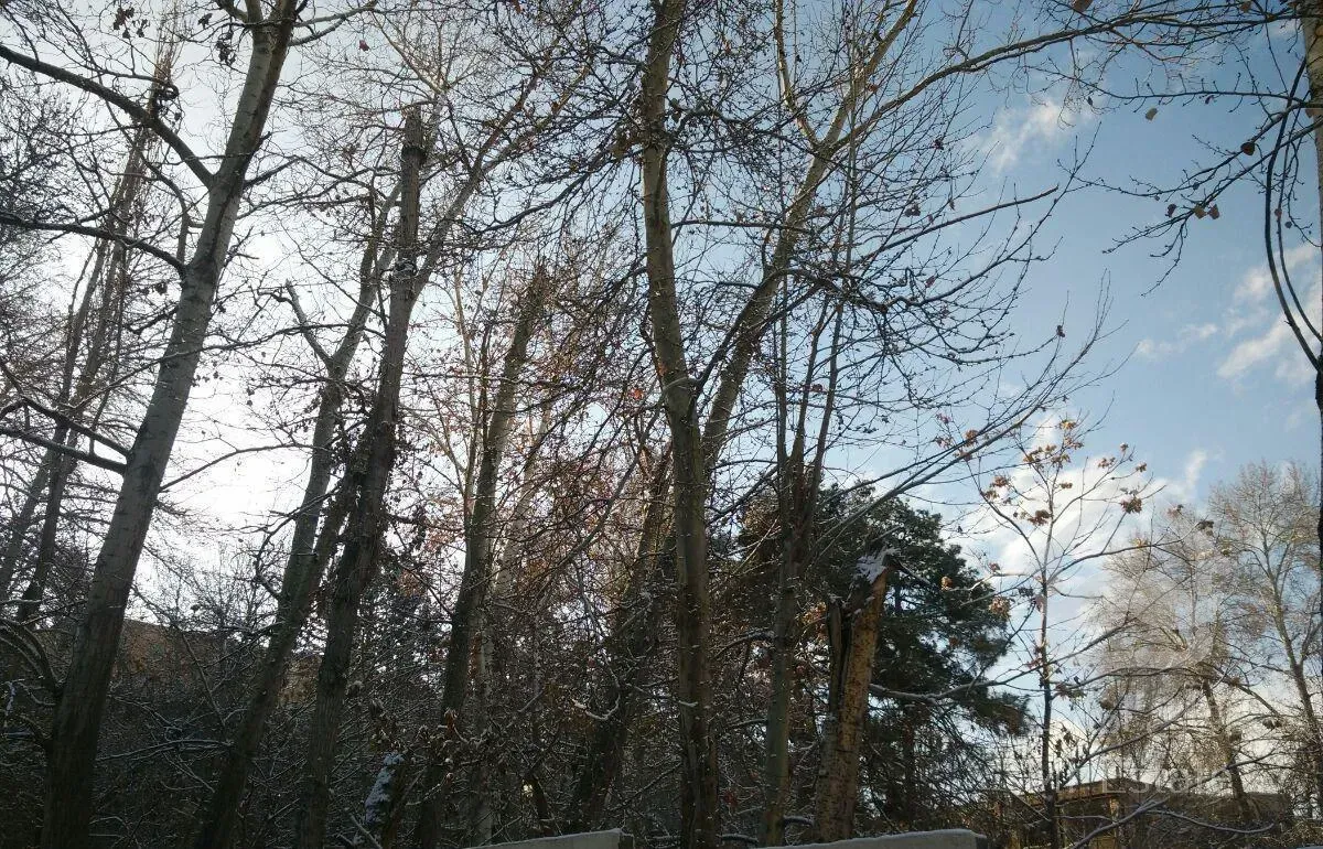 ویلایی ۵۰۳ متر نزدیک جاده چالوس