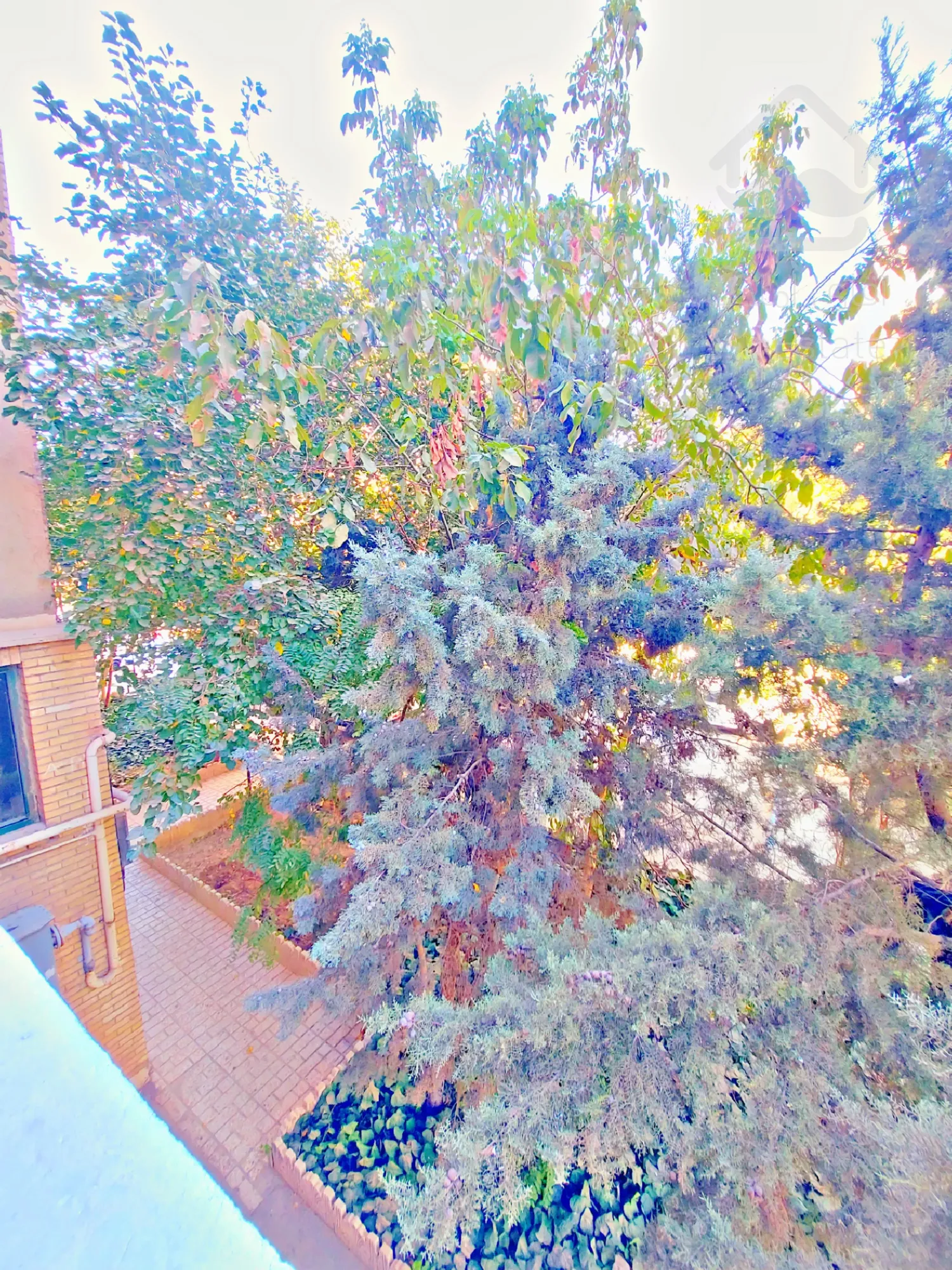 ۸۲متری۲خواب،باسازی ونقاشی شده،دوکله نور،درفاز۲مجتمع گلستان