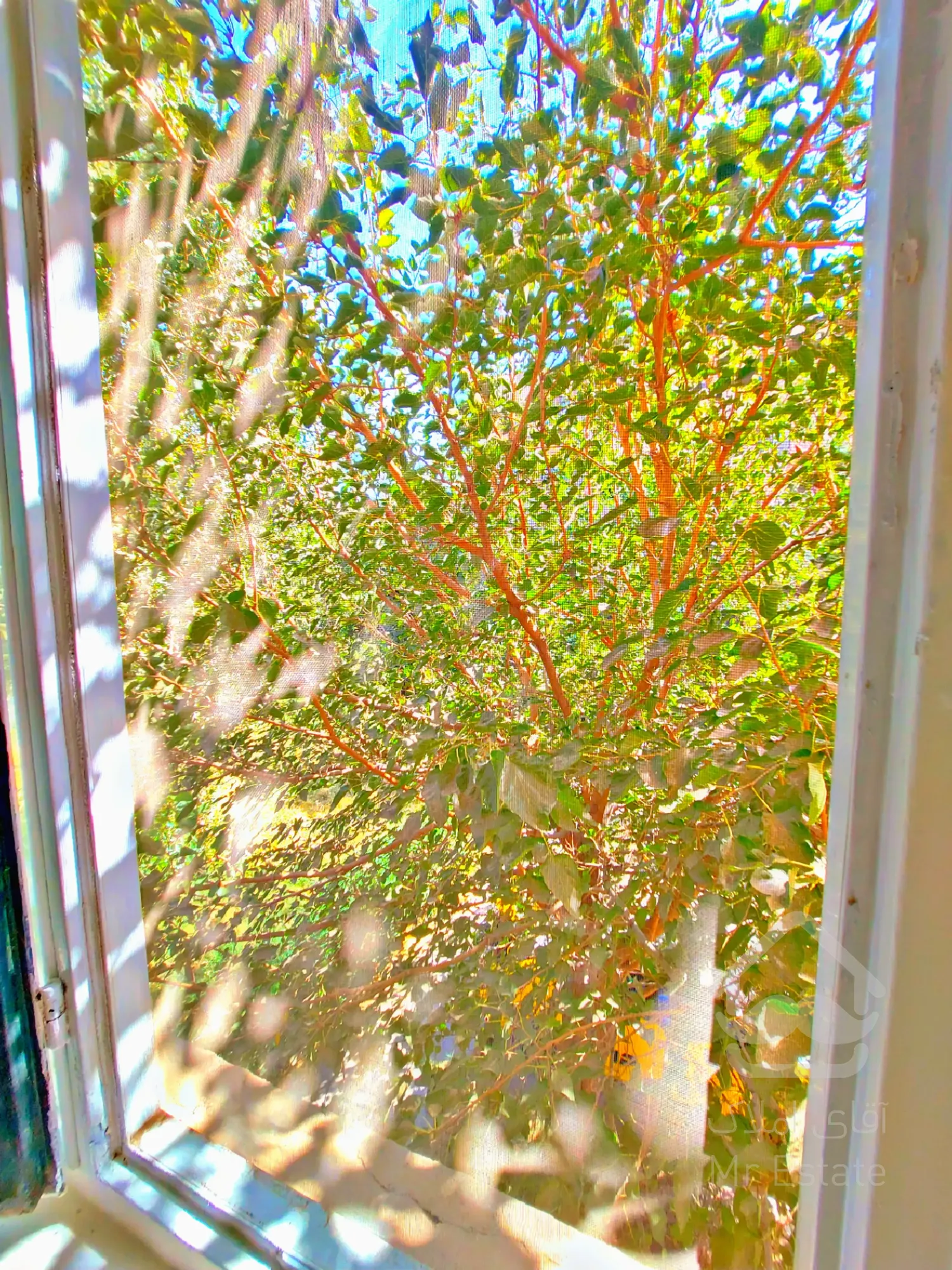 ۸۲متری۲خواب،باسازی ونقاشی شده،دوکله نور،درفاز۲مجتمع گلستان