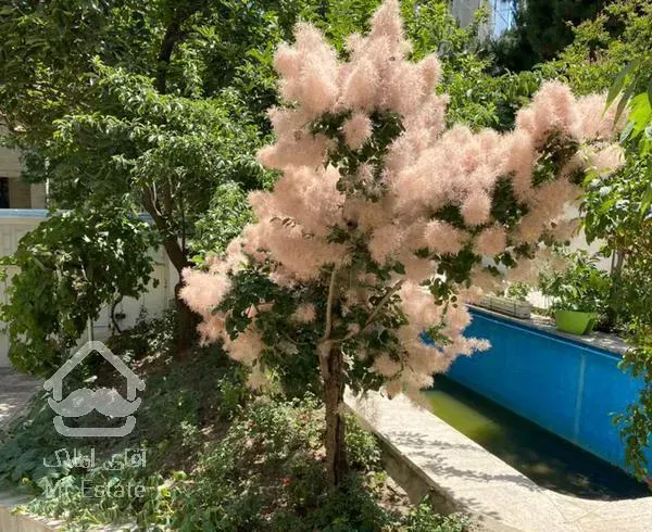 نیاوران ۵۲۰ متر زمین ۴۰۰ متر بنای دوبلکس شیک