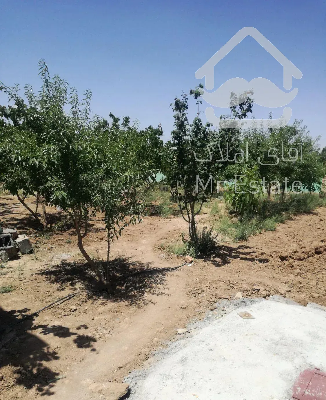 1500متر باغ شهرکی