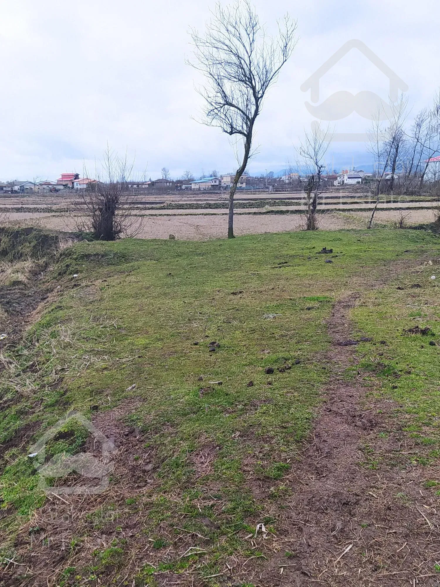 زمین مزروعی مناسب سرمایه گذاری