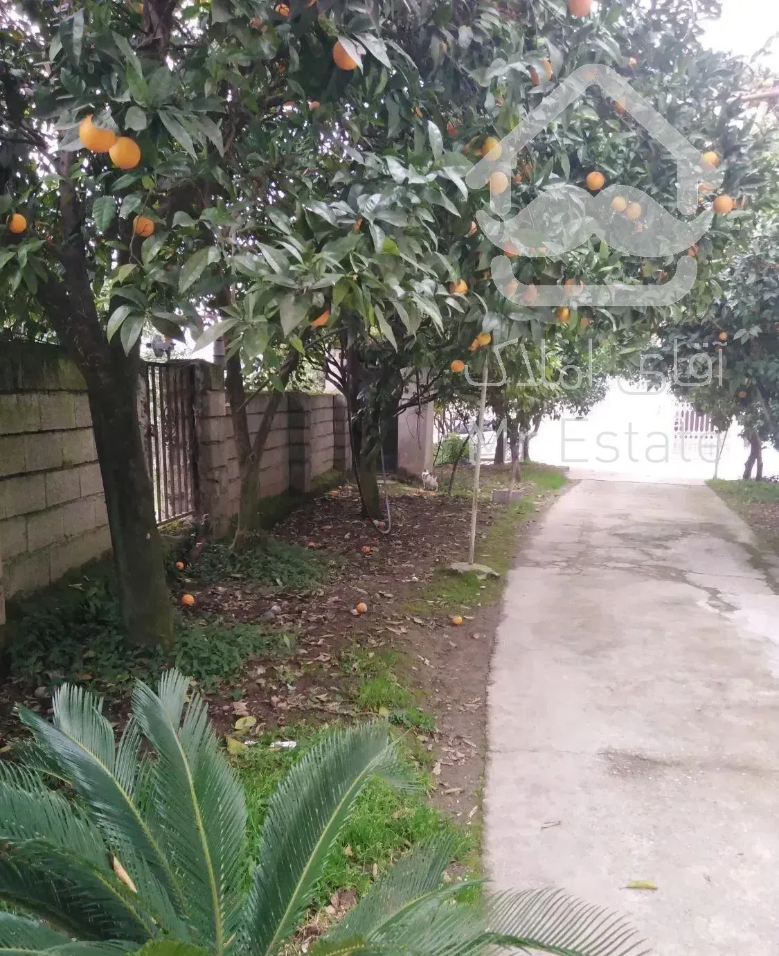 اجاره ویلا داخل باغ