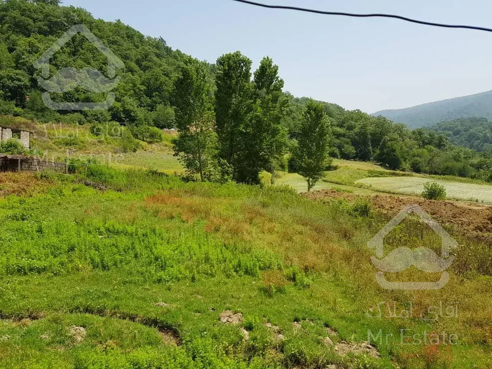 فروش زمین مازندران 43000  متر لاکچری