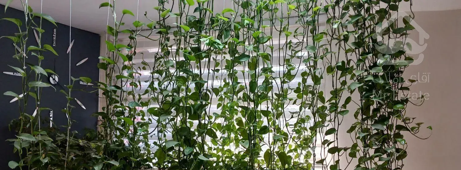 ۷۵ متر دریان نو فول امکانات