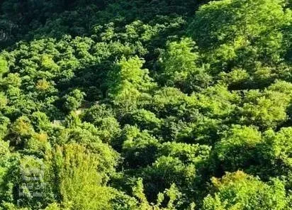 ویلا کوهپایه / لوکیشن دنج / فول فرنیش