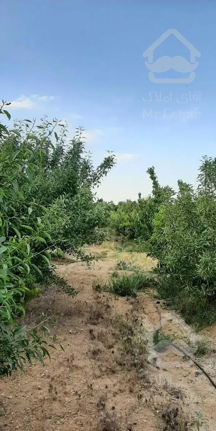 باغ میوه نقلی