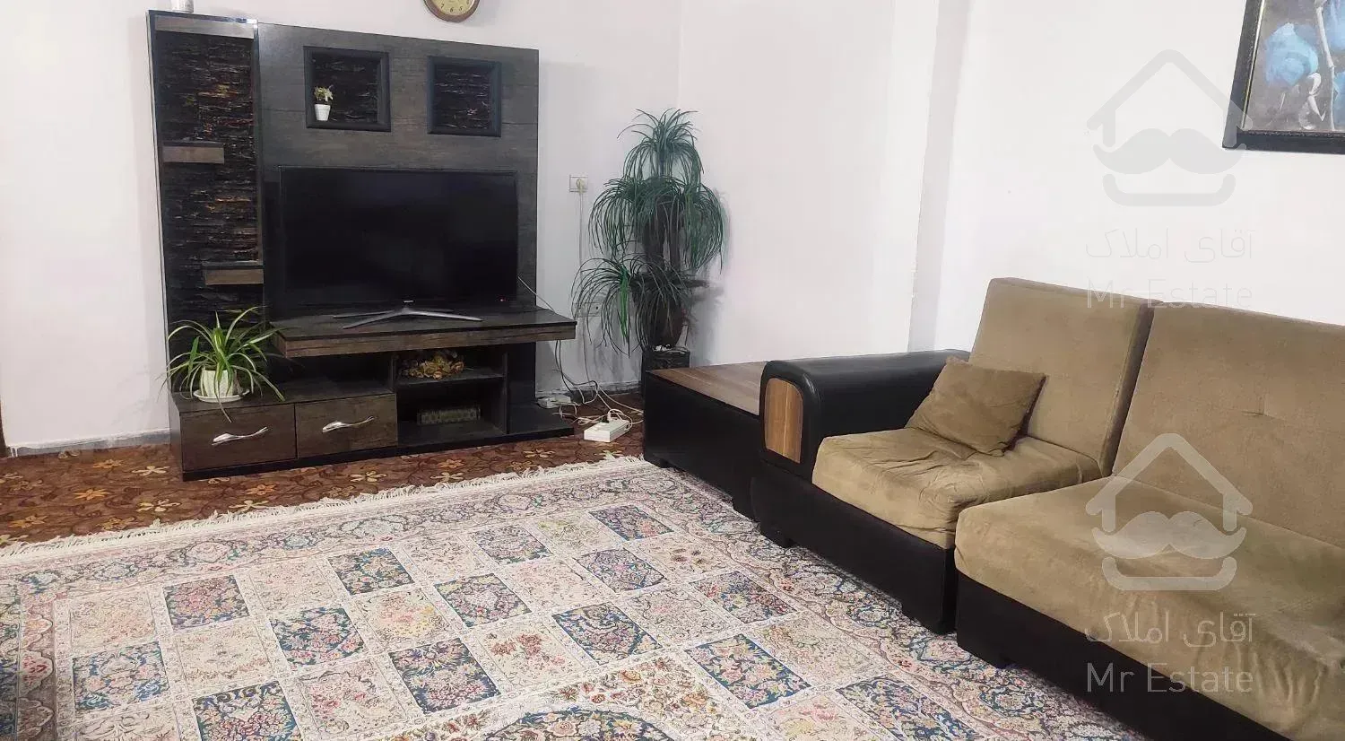 دربست شیک و تمیز شهری