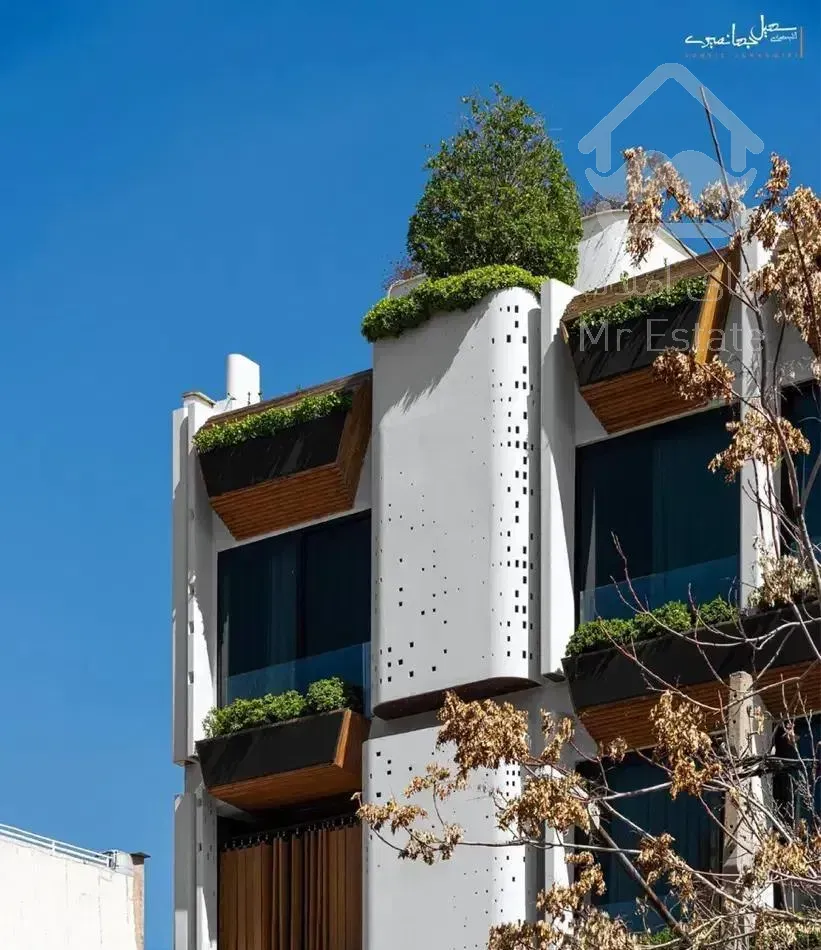 پسران ۴ خواب استثنایی ،ویو دار