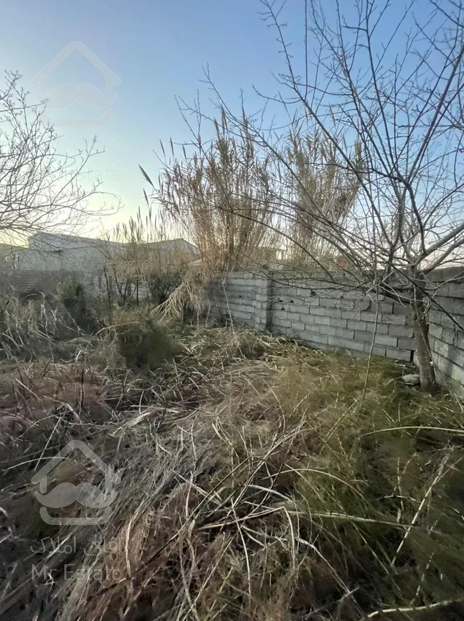 زمین کاملا"غیربومی ومحصور