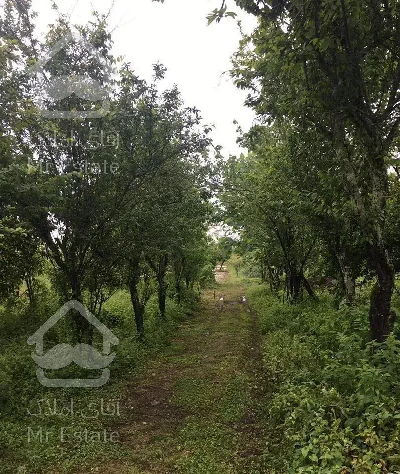 ویلا باغ 13هزار متر سند تک برگ شش دانگ