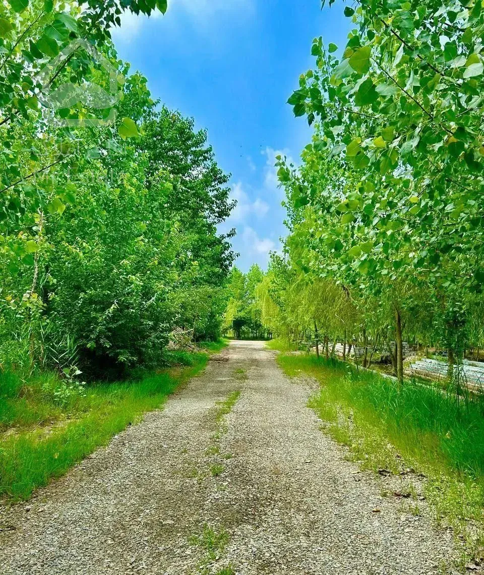 ویلای مدرن در اولین شهر آبی جنگلی