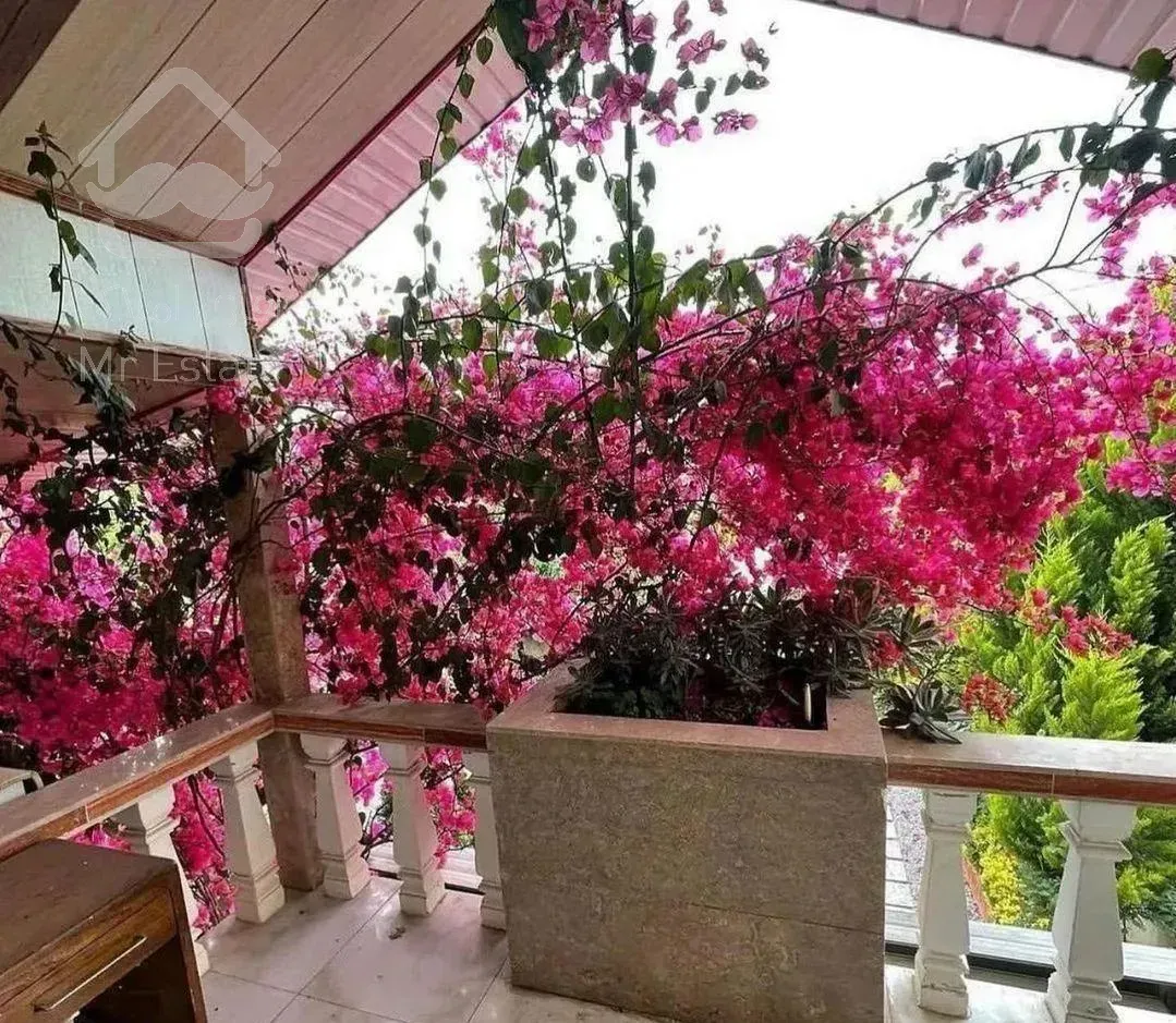 زود بخر ۵۰۰ میلیون زیر قیمته/گلکاری زیبا/مبله کامل