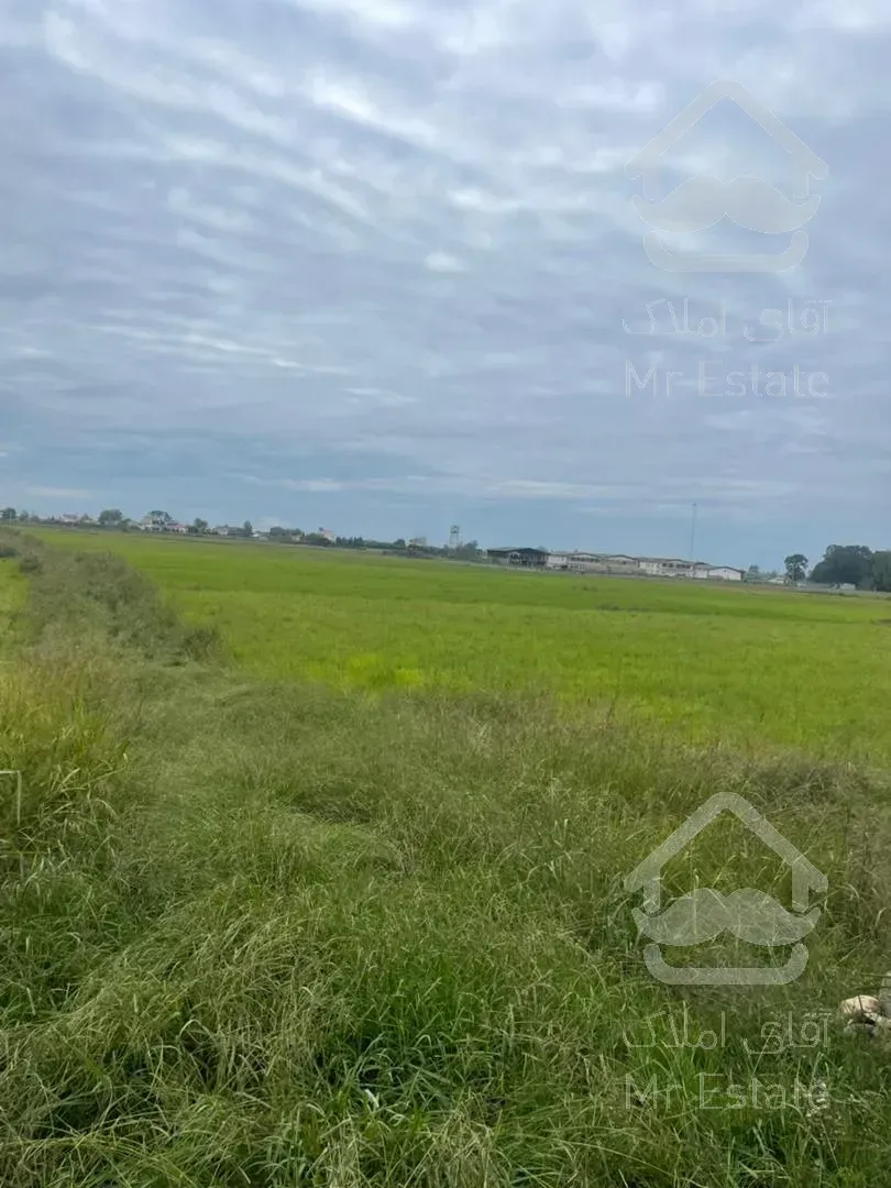 فروش زمين كشاورزي ٤٠٠٠ متري موقعيت استثنائي