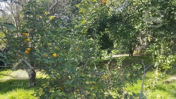 فروش باغ 300 متري منطقه دنج و غير بومي