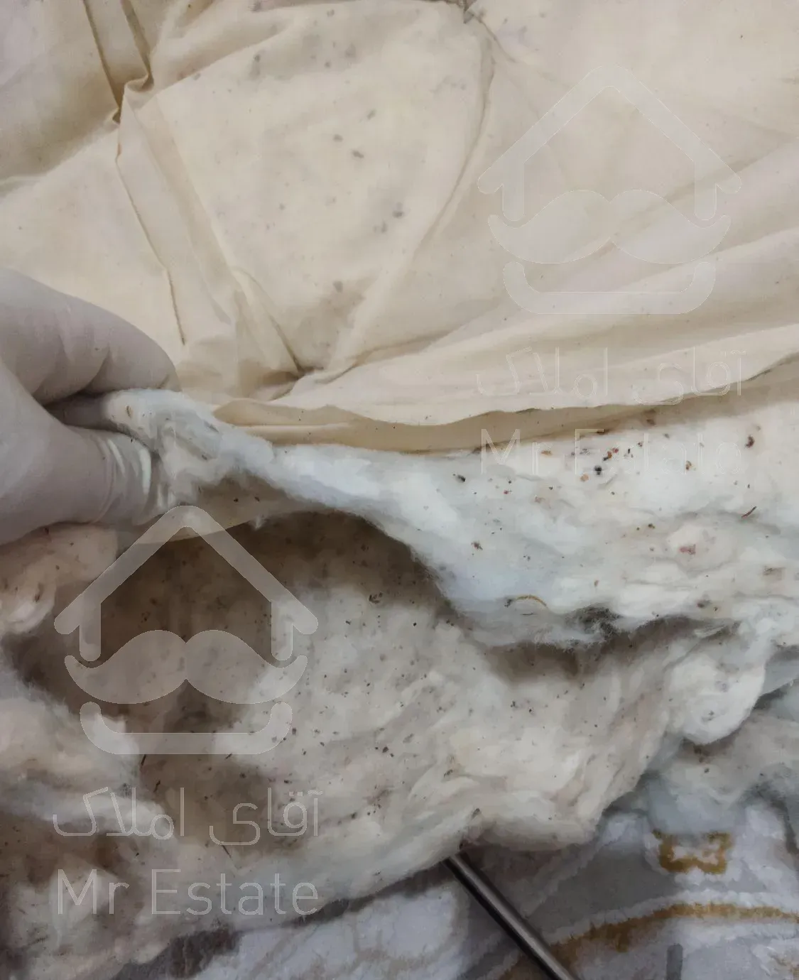 سم پاشی ساس گیاهی تضمینی بدون شستشو سمپاشی