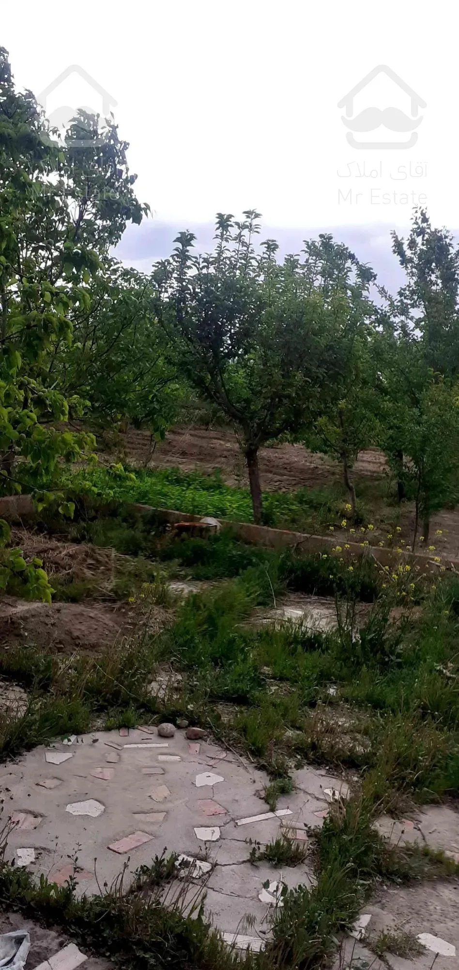 ویلا باغ دارای همه اماکانات در تبریز