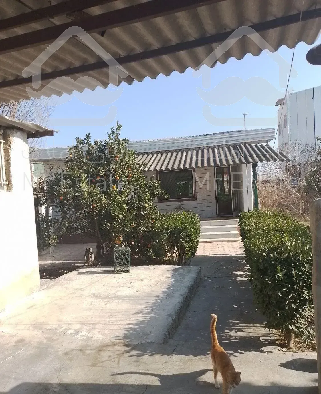 ویلا ویک باب مغازه سند جدا تک برگ روستای گیل اباد