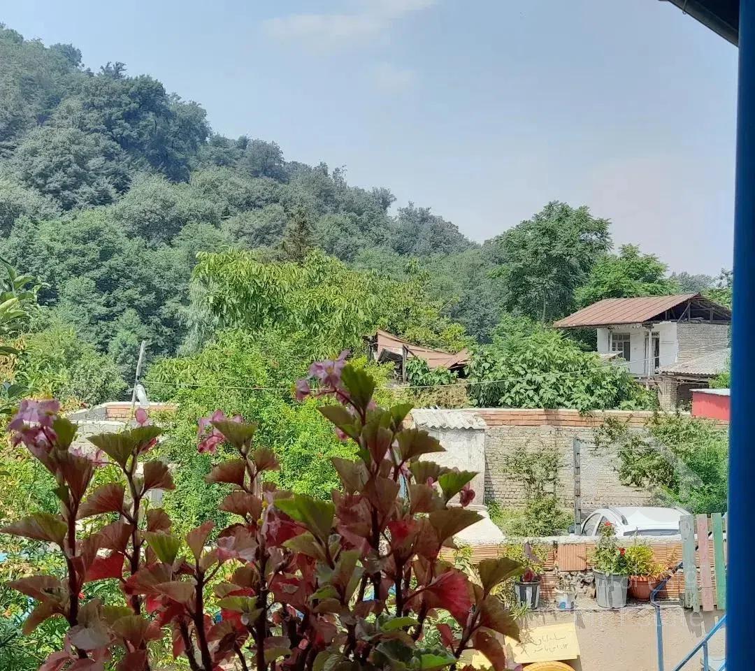 اجاره سوئیت سنتی و ویلا جنگلی زیبا با پارکینگ