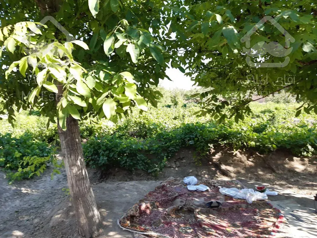 ده هزار متر باغ ویلا