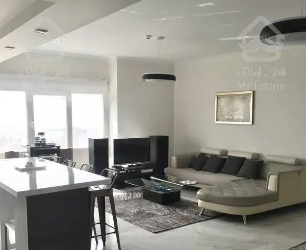 ۱۰۲متر ویودار فول‌امکانات سالن‌پرده‌خور