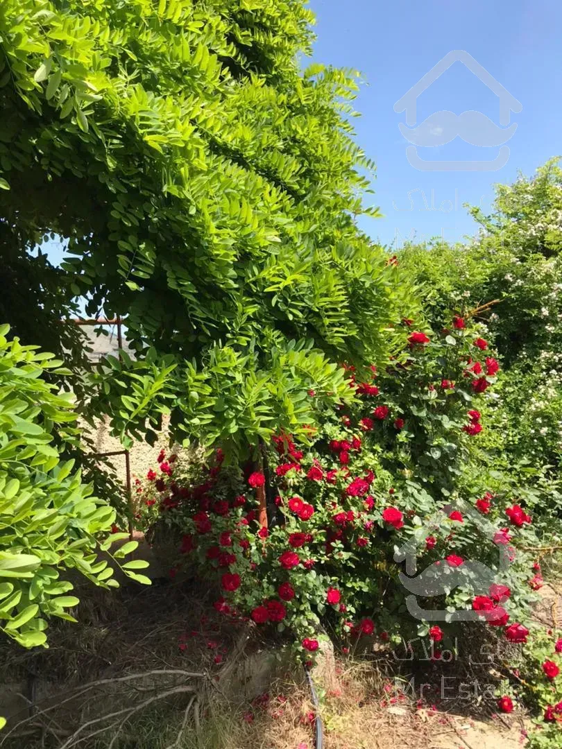 ویلا کلاردشت کردیچال