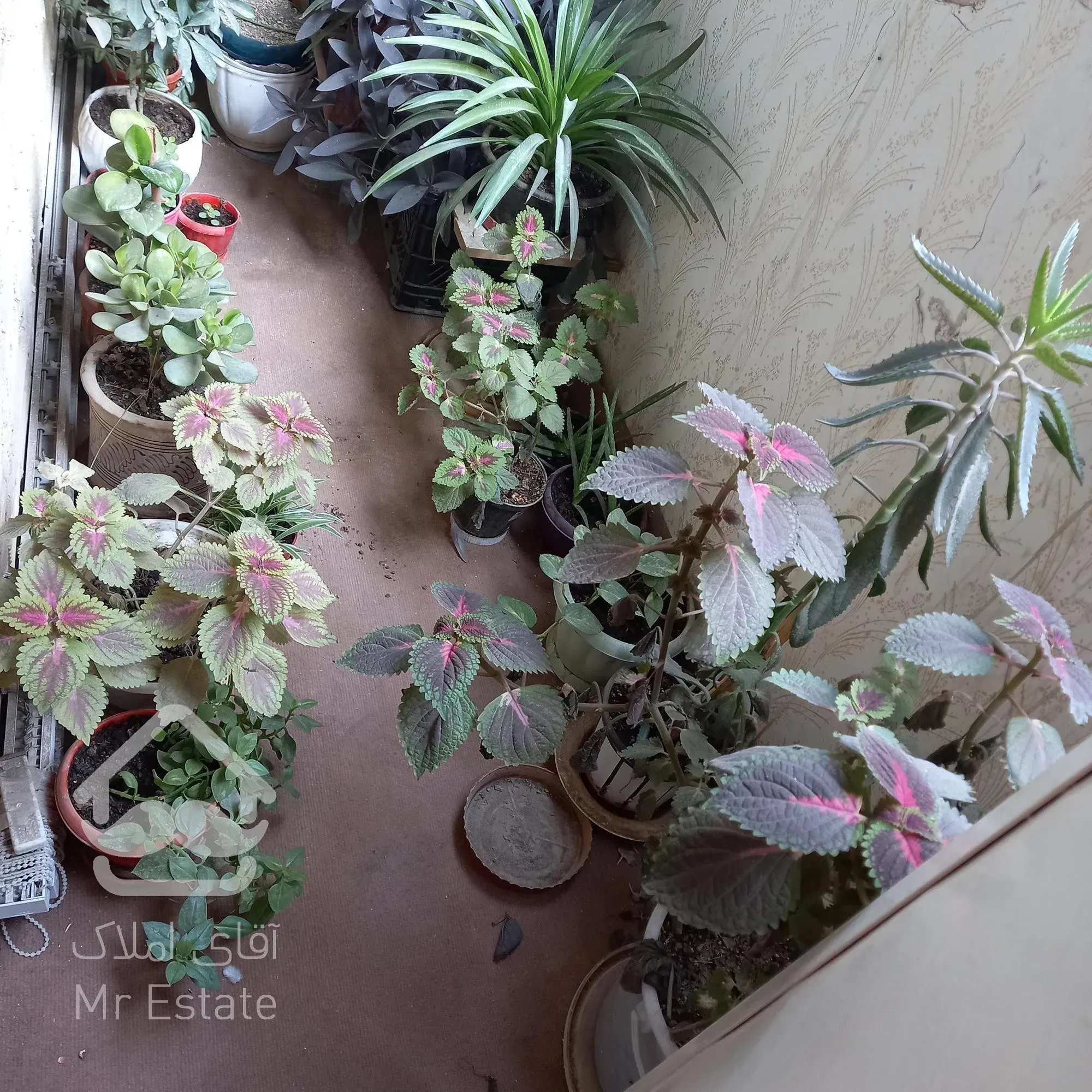 ۹۰متر خ اهری اول نسیم