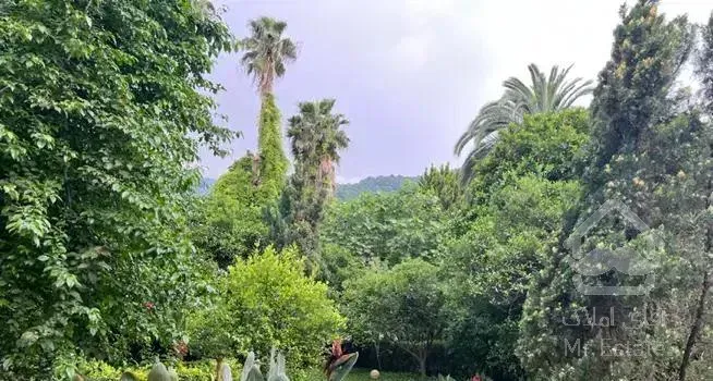 نجارده ۱۰۰۰ متر ویلاباغ/ شهرکی / سند شش دانگ