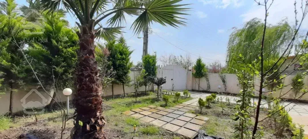 مازندران، آمل جاده جنگلی نور آمل رویان