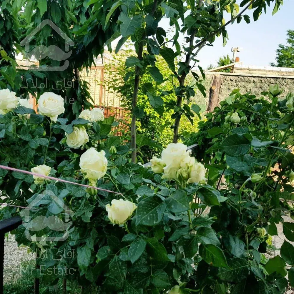 فروش ویلا باغ 755 متر