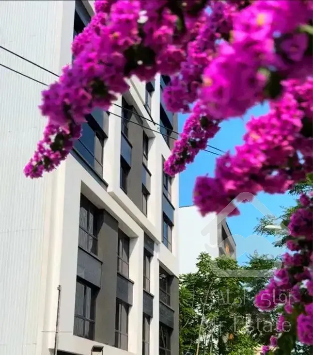 پروژه مـدرن *دریاسر / ویو‌دریا / لوکس و کلیدنخورده