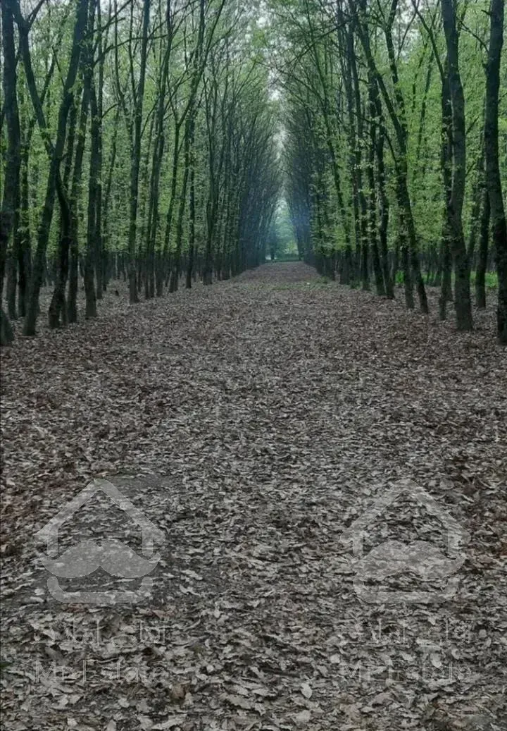 ویلادربست حیاط دار جعفرآبادملک فول امکانات نوساز