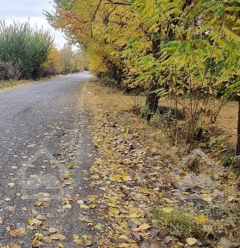 ۲۰۰۰ متر / اسماعیل آباد / بهر جاده/ مناسب تالار
