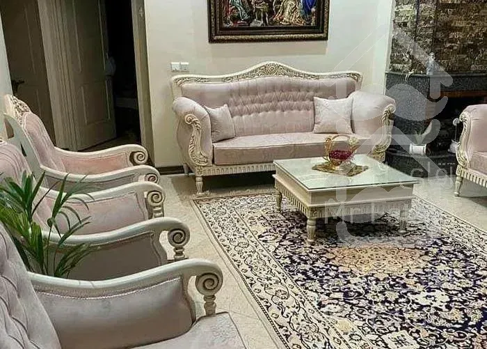 شستشوی مبل و فرش و موکت..