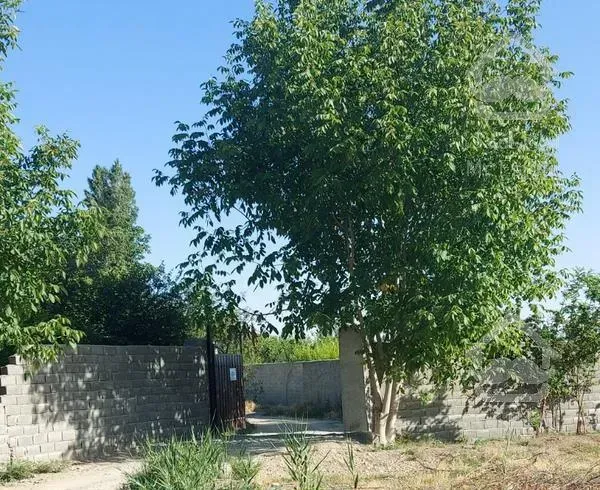 باغ داخل شهرک