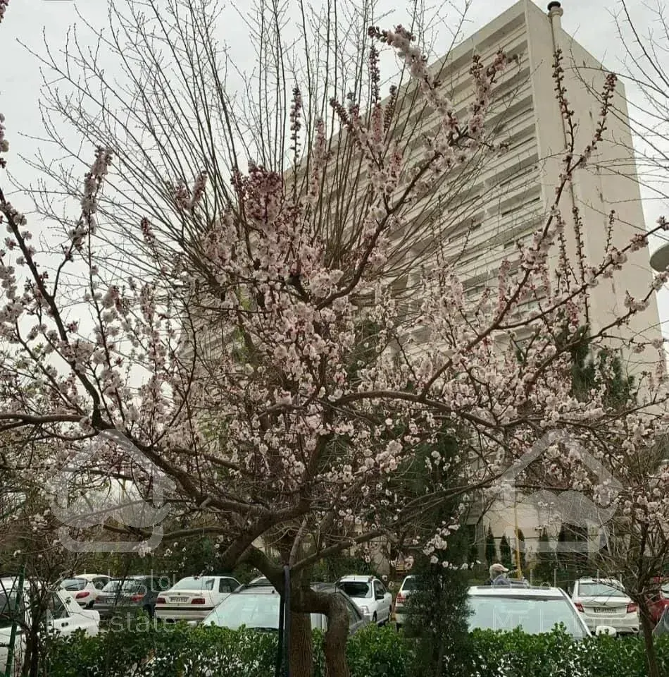 135 متر/دو خواب/سرمایه گذاری پر بازده/شهرک امید