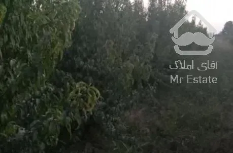 فروش زمین کشاورزی 700 متر در کردان