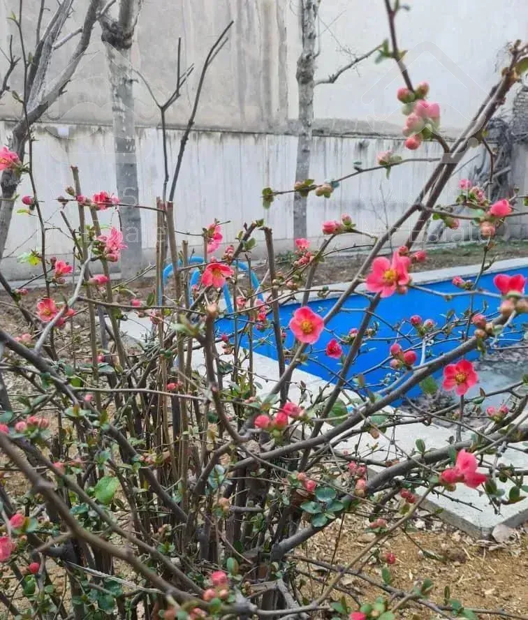 ۲۸۰ متری تک واحدی ۴ خواب