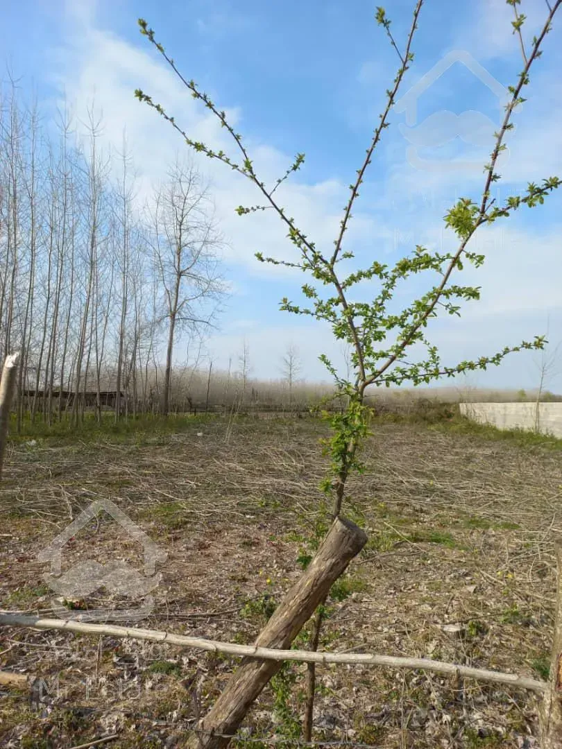 زمین برای ساخت ویلا