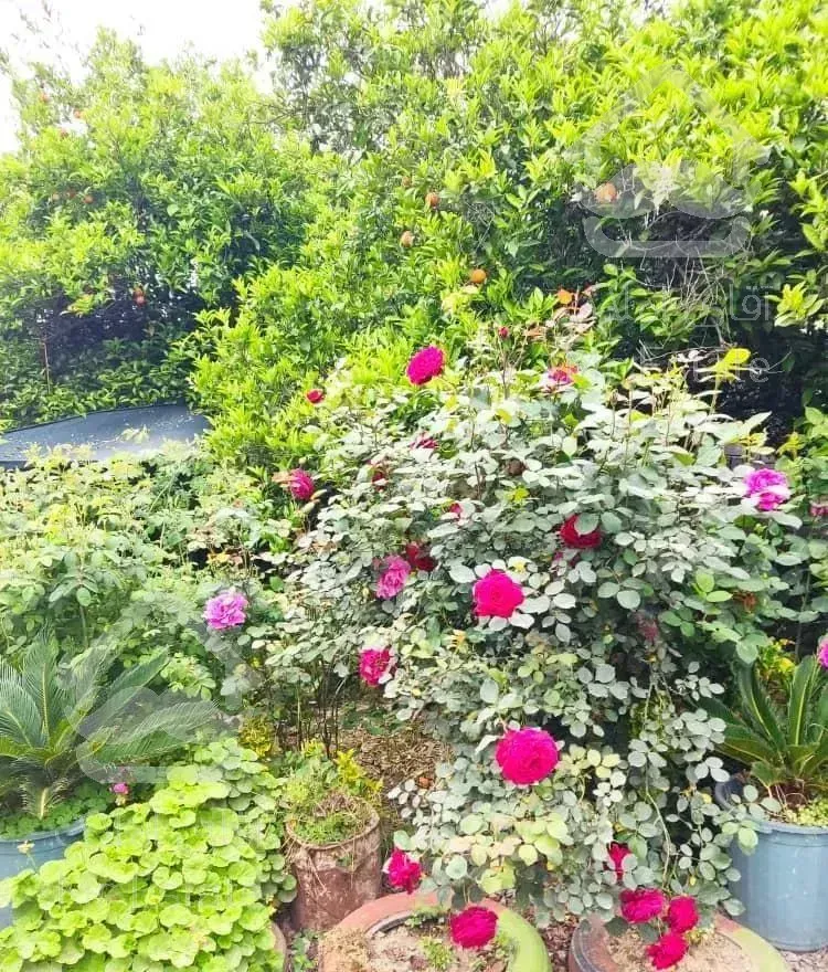 ویلا باغ زیبا