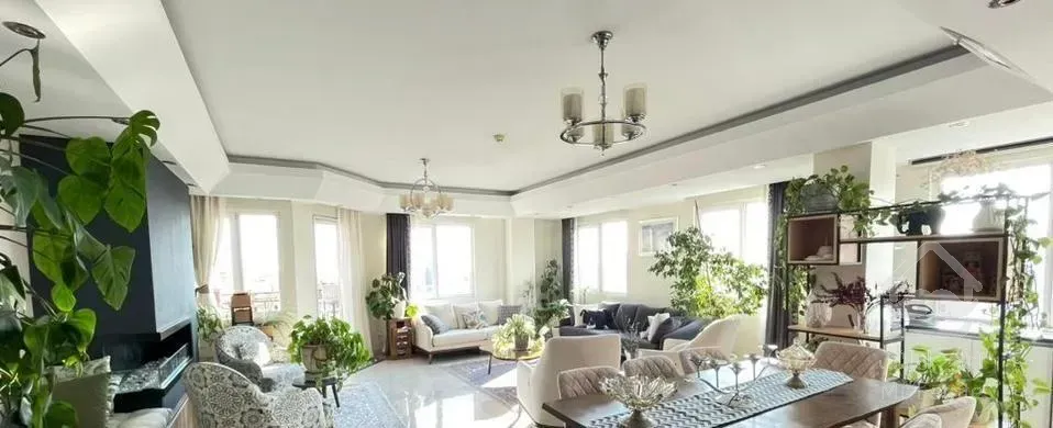 شمال جردن۱۵۰ متر/اکواریوم واقعی /ورودی از لابی