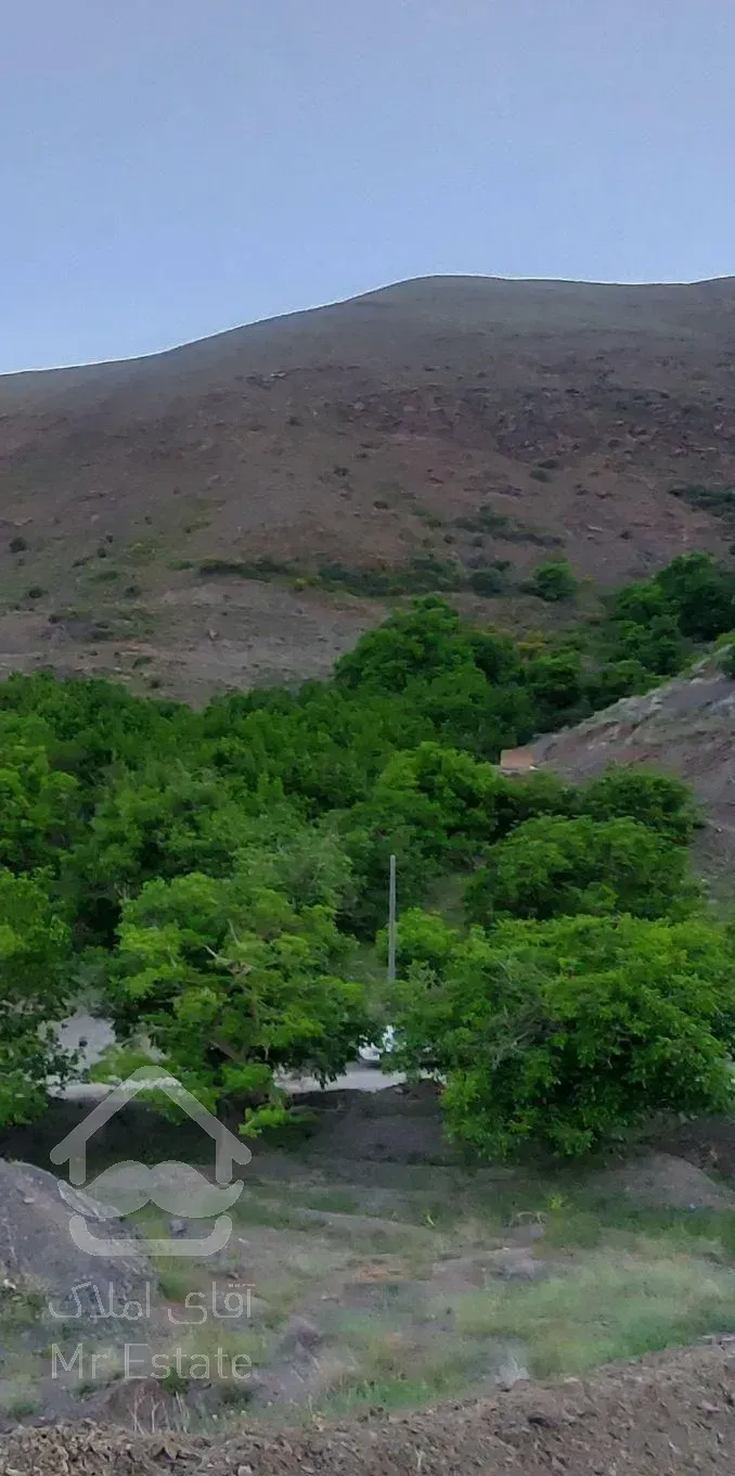 زشک۸۰۰متر زمین باغی بدون شیب بادرختان گردو(معاوضه)